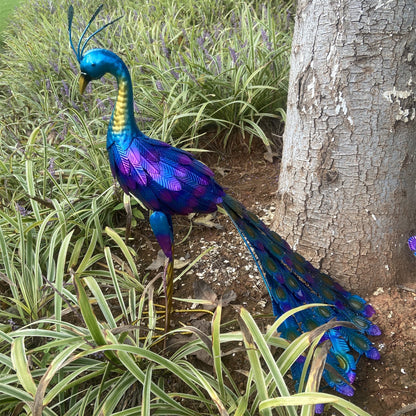 Beautiful Metal Peacock Statue - Standing Outdoor Garden Decoration for Lawn, Backyard, Courtyard, Parties, and Weddings