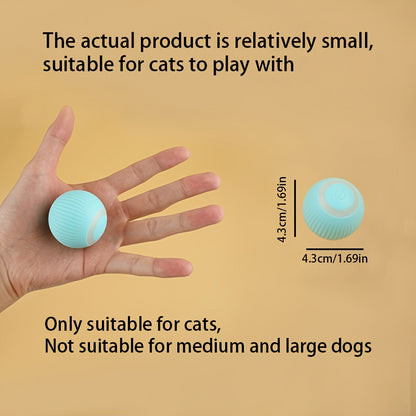 Whisker Wizard Automatic Rolling Cat Toy – Motion Activated Interactive Ball